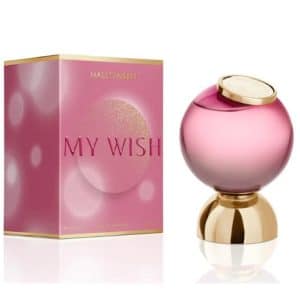 HWN MY WISH2